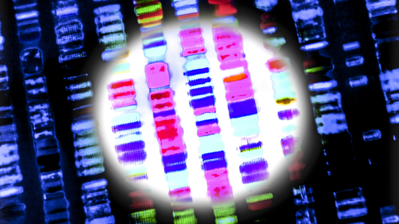 12 longevity trends that doctors are watching in 2026