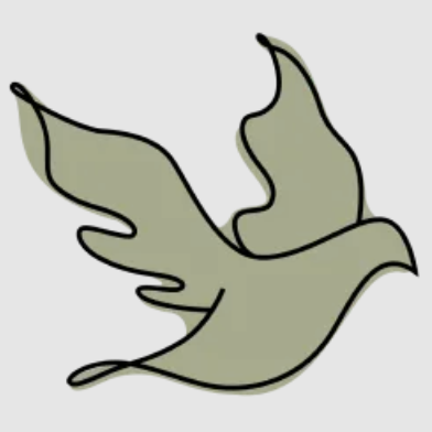 What to Expect When You Visit a Cosmetic Dentist in Franklin, TN