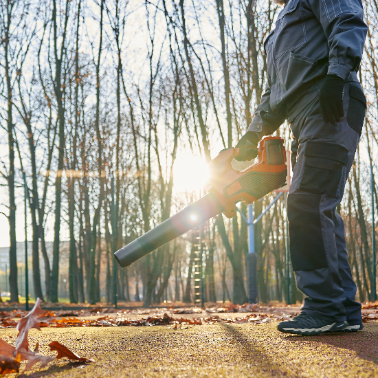 Featured image for Auto-prepared featured image