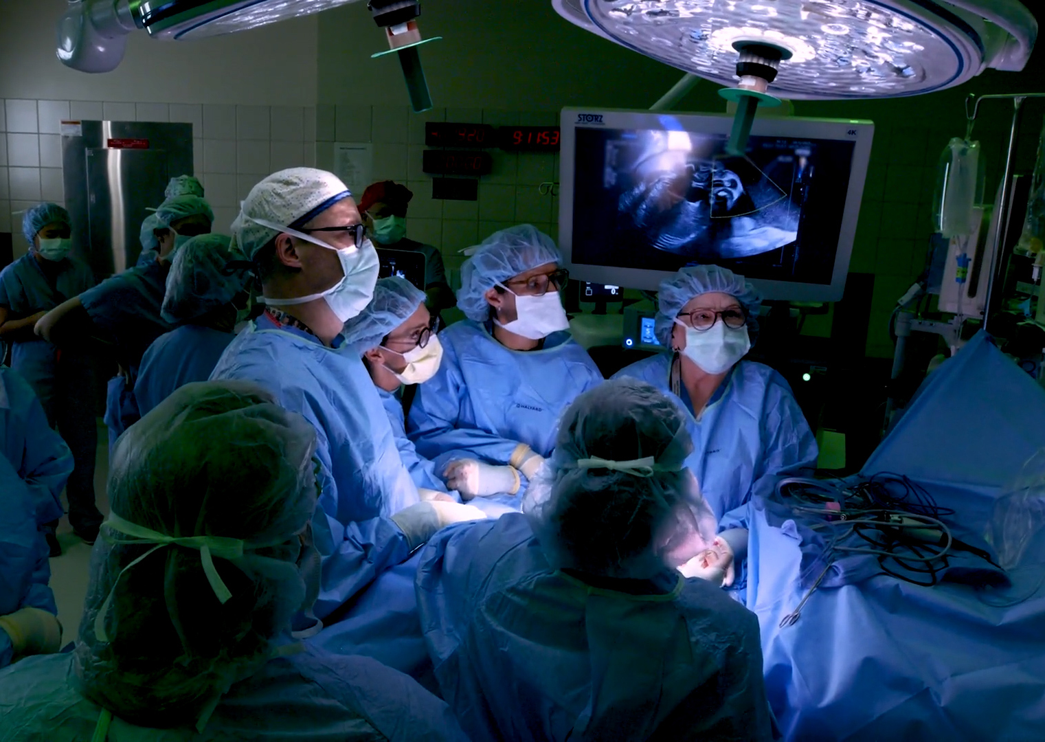 Featured image for Auto-prepared featured image