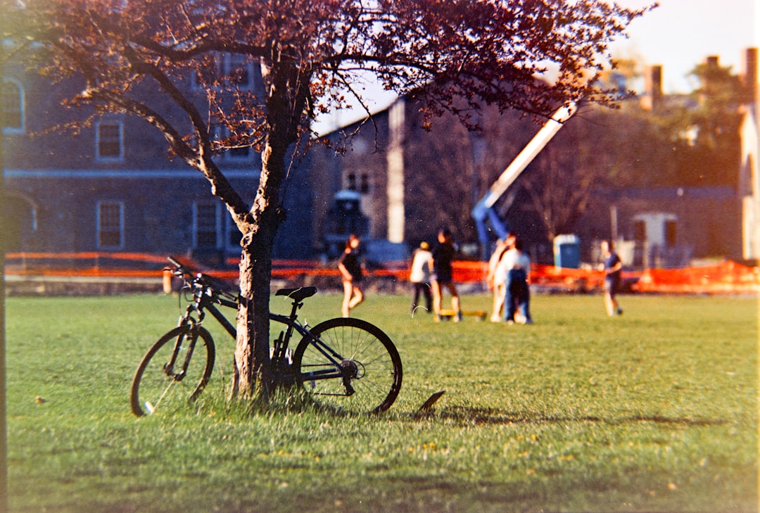 Featured image for Auto-prepared featured image