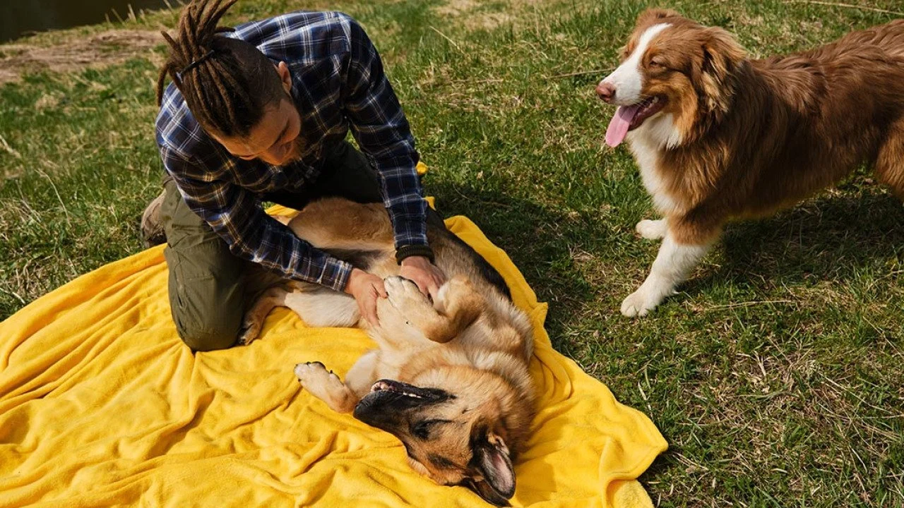 Featured image for Auto-prepared featured image